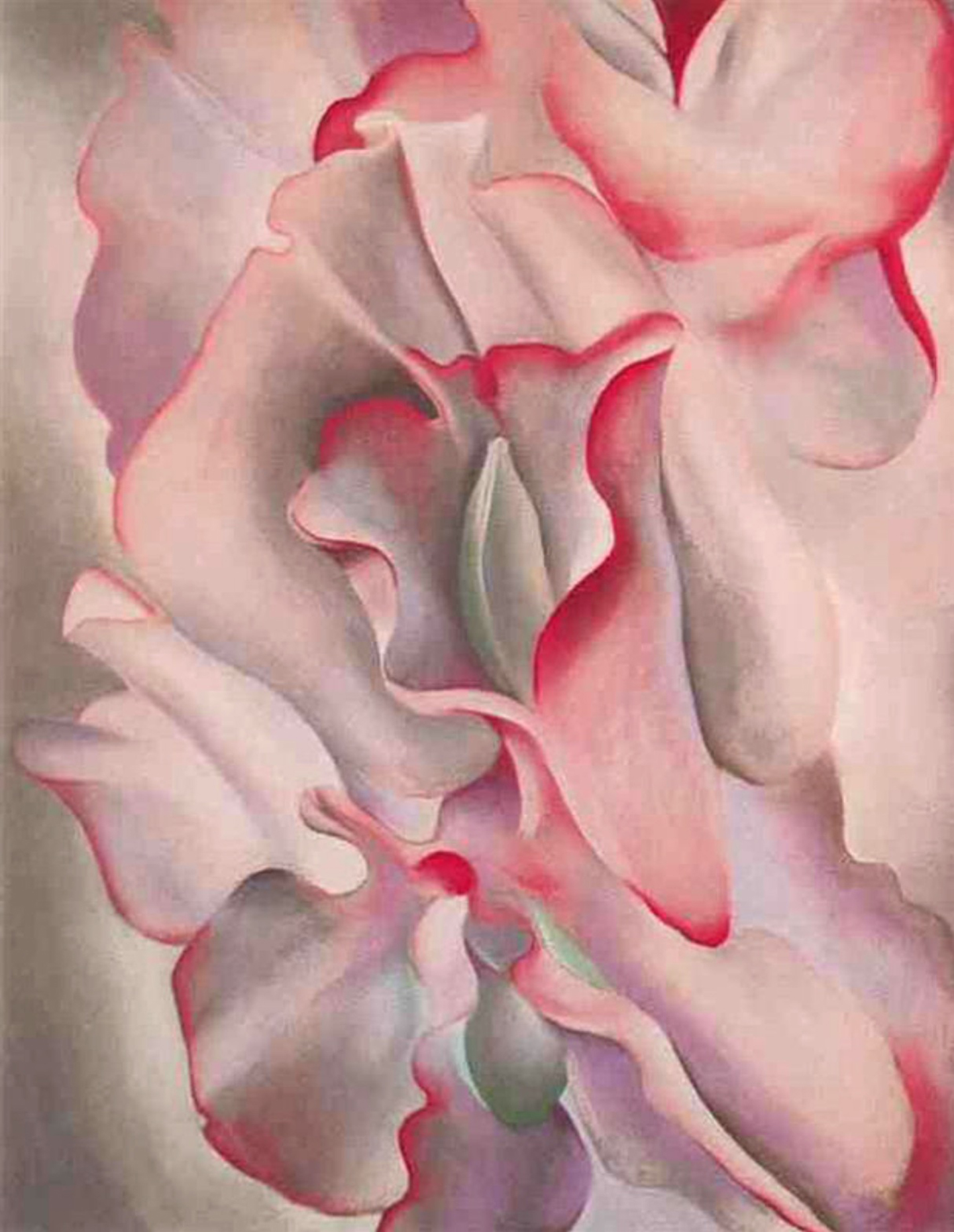Georgia O’Keeffe’s Flowers | Mr. Fatta